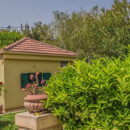 Kavrokhorion Sylvia'S Guest House מראה חיצוני תמונה