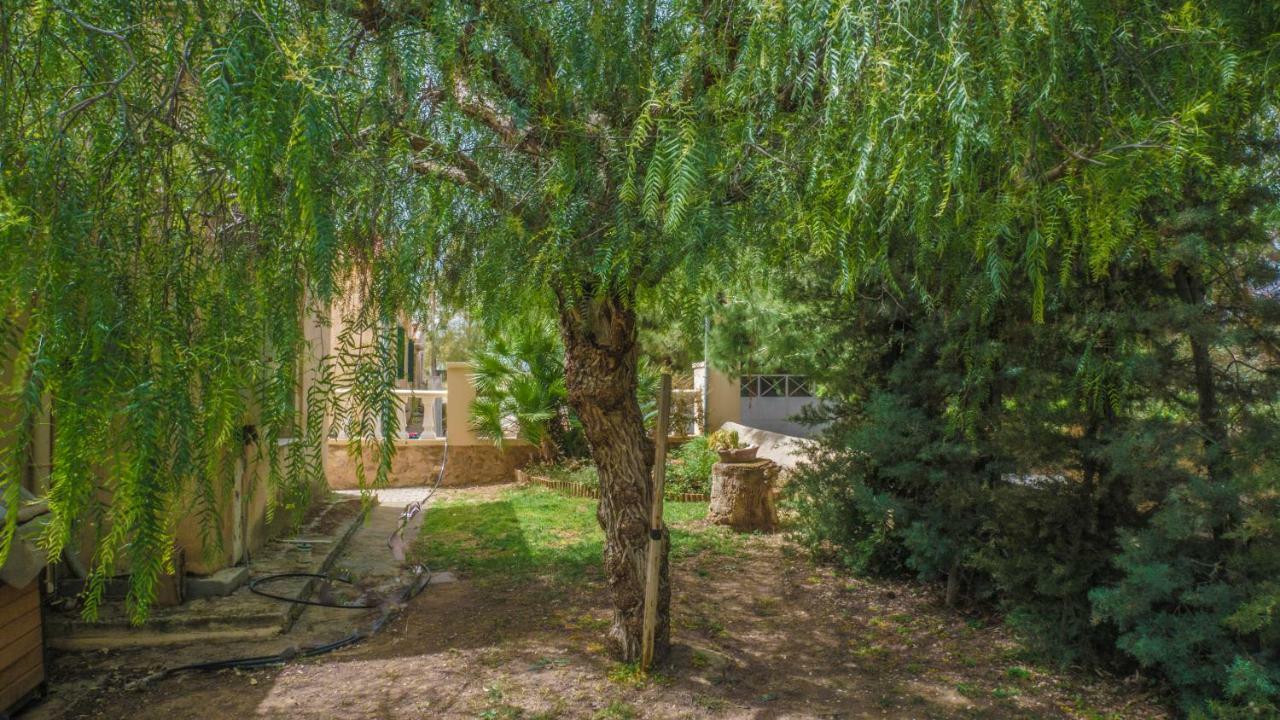 Kavrokhorion Sylvia'S Guest House מראה חיצוני תמונה